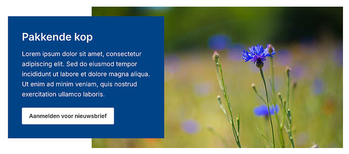 Screenshot 2026-01-22 at 14.19.33